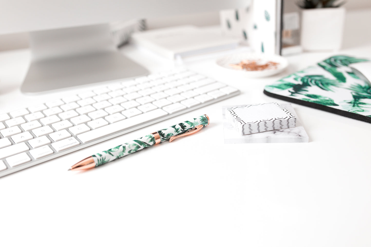 Start Your Travel Business Today! - PRO PLAN